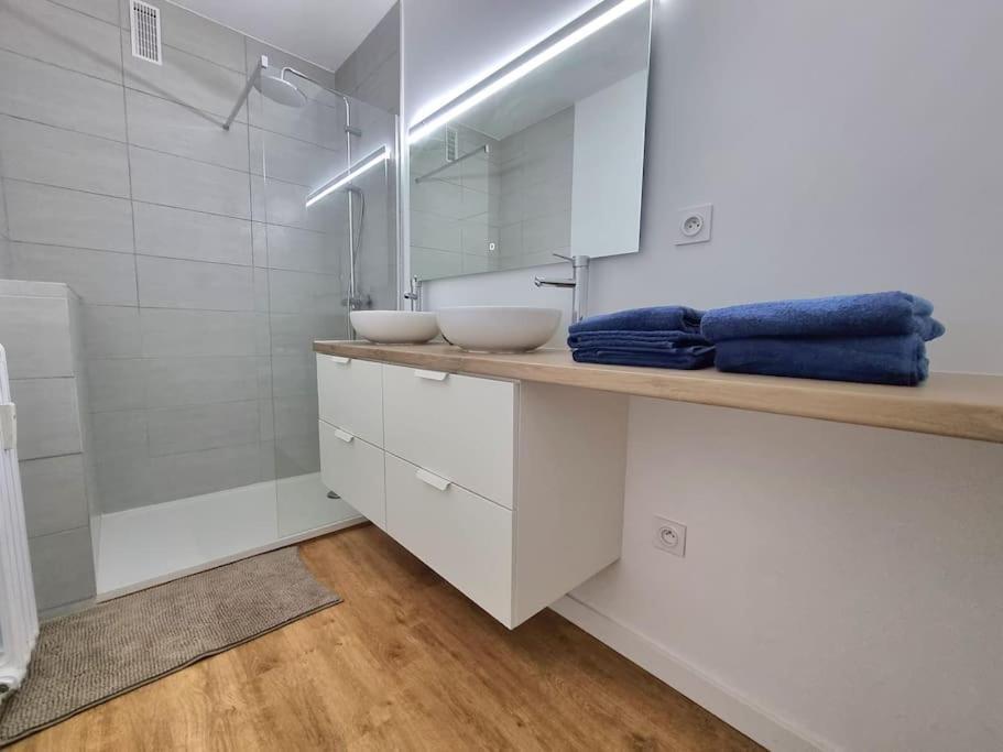 Appartement 73M2 - 2 Chambres - Parking - Wi-Fi Toulouse Luaran gambar