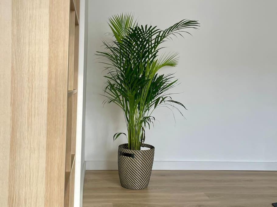 Appartement 73M2 - 2 Chambres - Parking - Wi-Fi Toulouse Luaran gambar